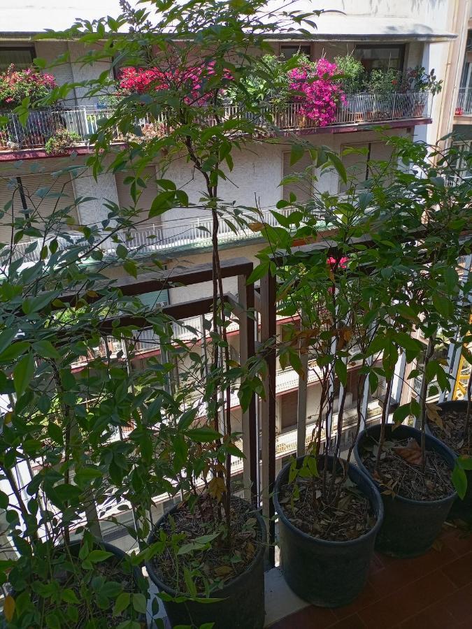 Gianna House Apartment Bari Luaran gambar